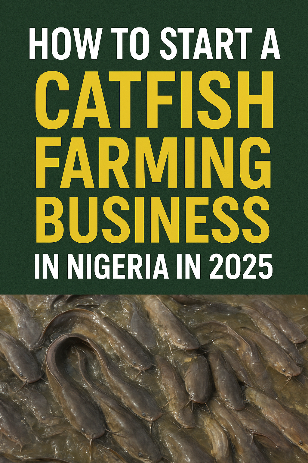 How to Start a Catfish Farming Business in Nigeria in 2025